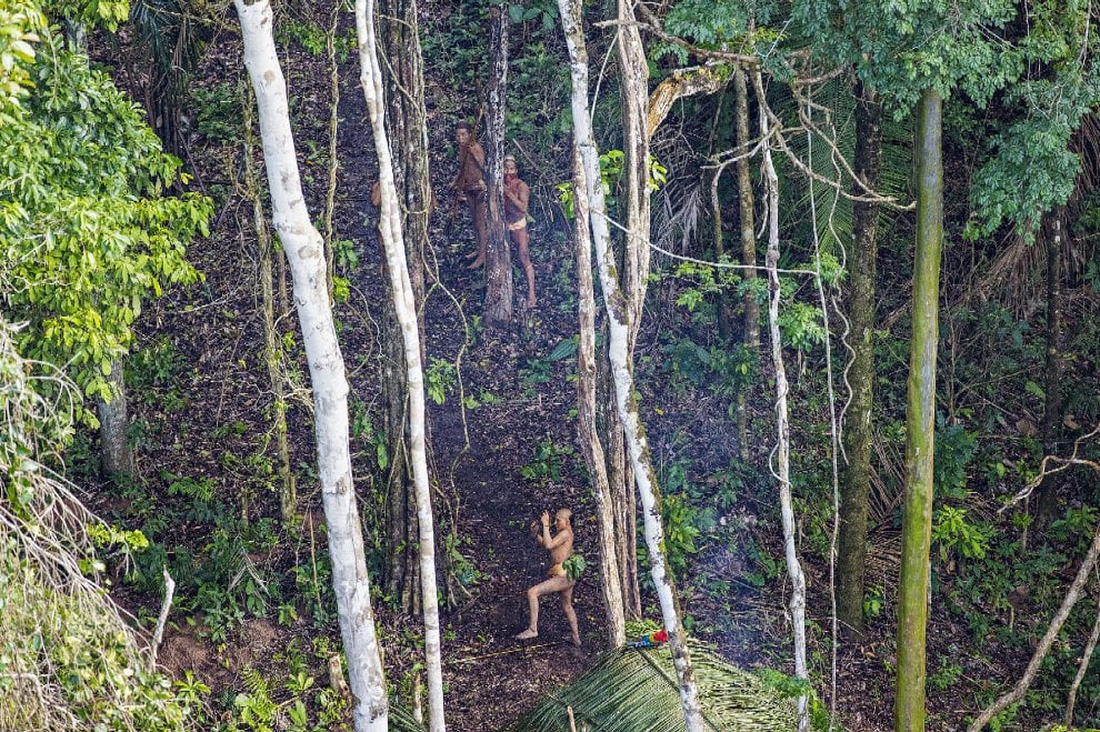 Brasile, frecce contro l'elicottero: le foto della tribù isolata mai entrata in contatto con il nostro mondo 