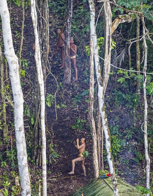 Brasile, frecce contro l'elicottero: le foto della tribù isolata mai entrata in contatto con il nostro mondo 