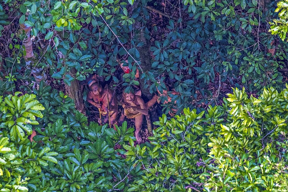 Brasile, frecce contro l'elicottero: le foto della tribù isolata mai entrata in contatto con il nostro mondo 