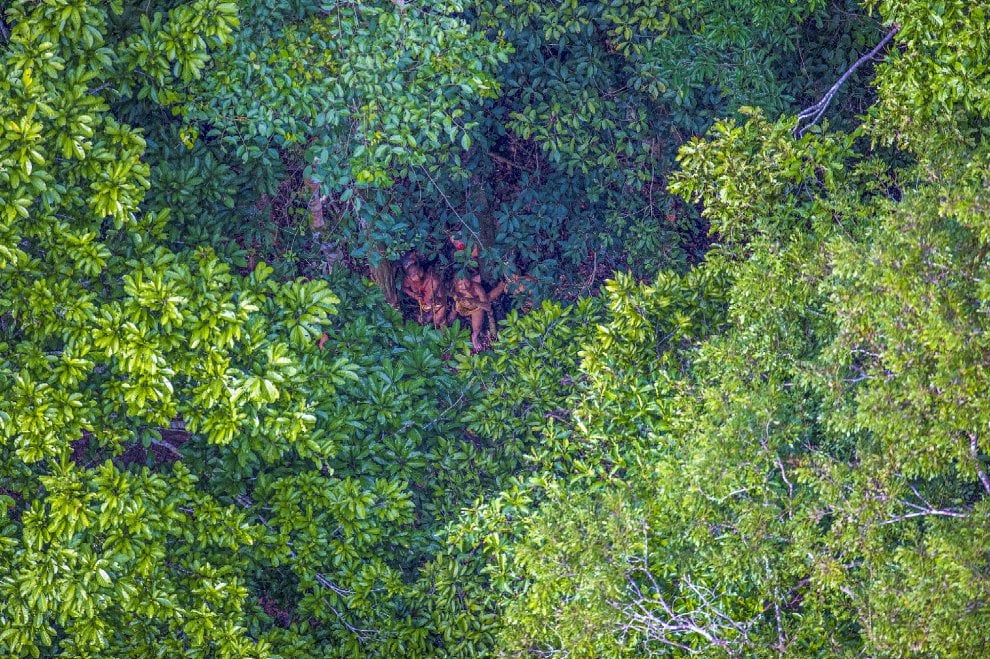 Brasile, frecce contro l'elicottero: le foto della tribù isolata mai entrata in contatto con il nostro mondo 