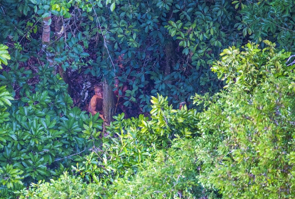 Brasile, frecce contro l'elicottero: le foto della tribù isolata mai entrata in contatto con il nostro mondo 