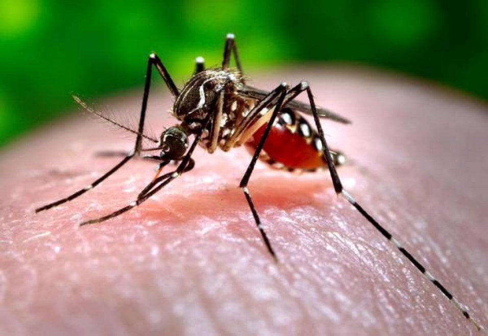 Da Ebola a Zika: la medicina nel 2016
