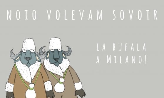 Un disegno di Gianluca Biscalchin per LSDM