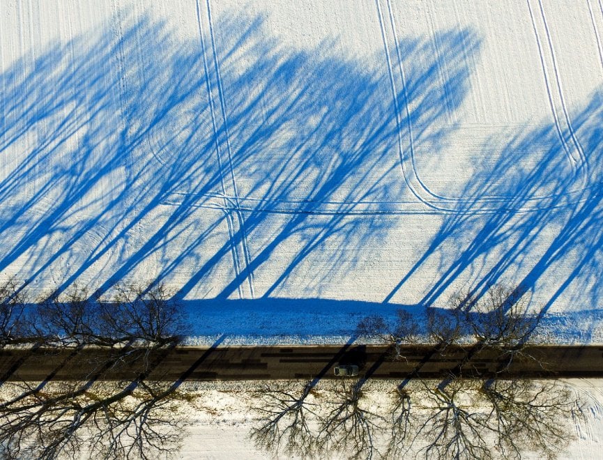 Germania, illusione ottica sulla neve: le ombre degli alberi sono blu