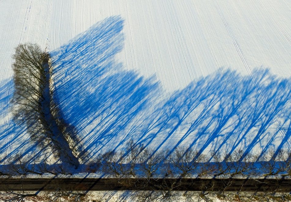 Germania, illusione ottica sulla neve: le ombre degli alberi sono blu