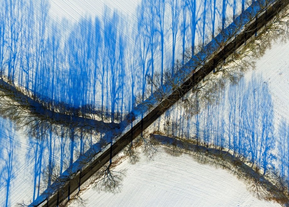 Germania, illusione ottica sulla neve: le ombre degli alberi sono blu