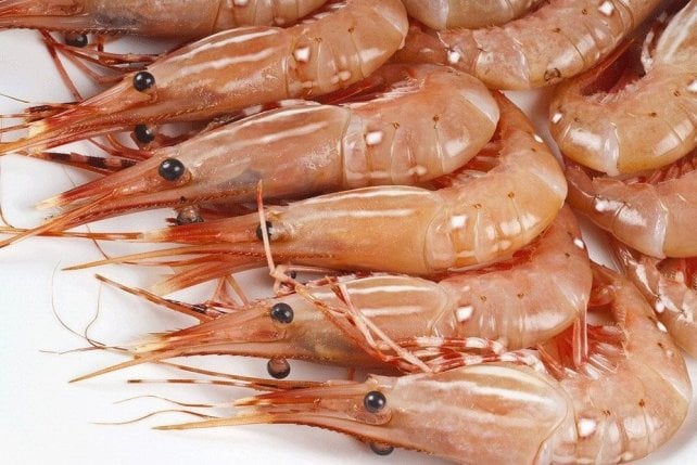 Astice o aragosta? Mini guida ai crostacei 