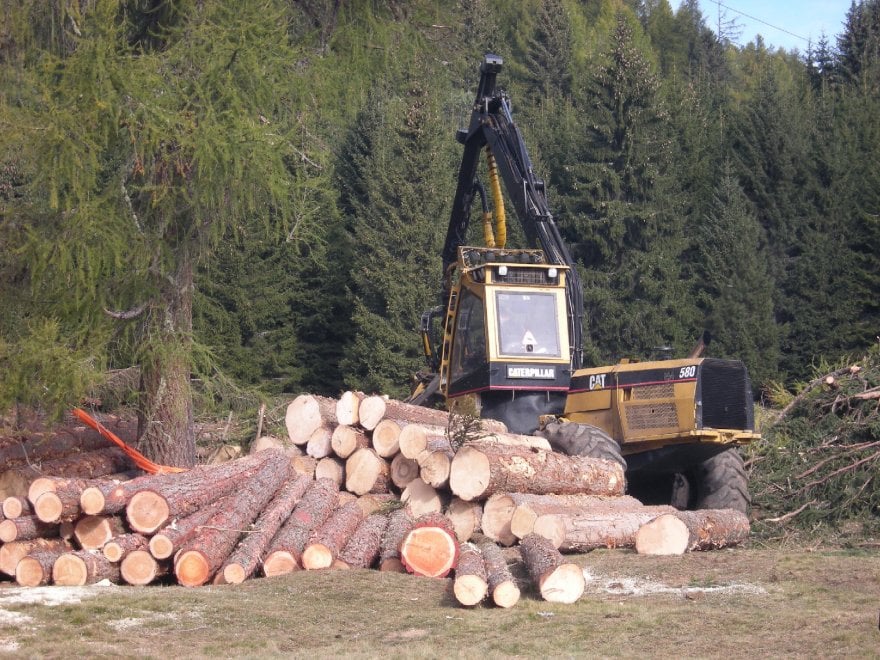 La Natura Smart in Trentino: arriva la "foresta intelligente"