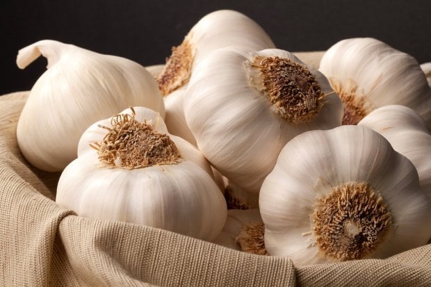 Fitoterapia e salute del cuore: attenzione al fai da te