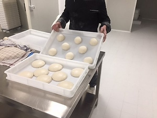 Una passeggiata nella fabbrica con il forno a legna 