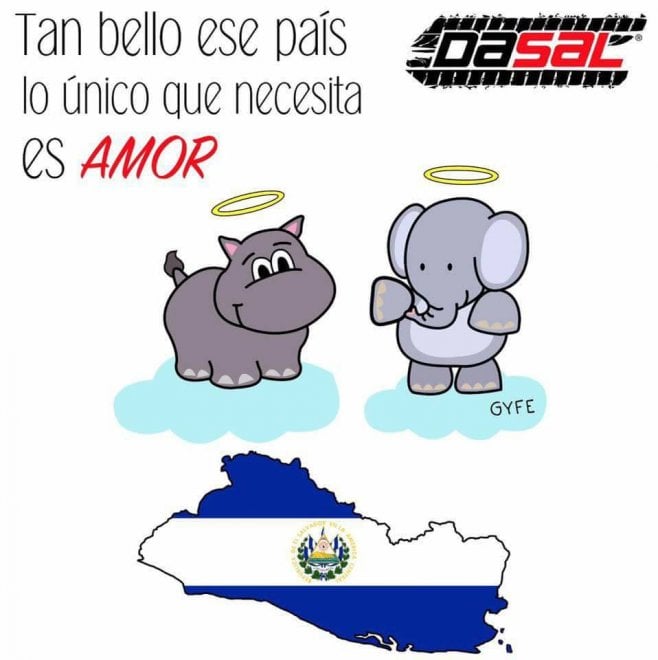 Gustavito, ippopotamo pestato a morte