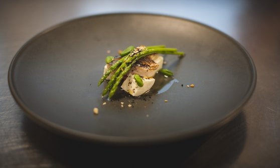 Sgombro marinato servito con mozzarella di bufala e asparagi selvatici, Danilo Cortellini. foto: Andrea Moretti