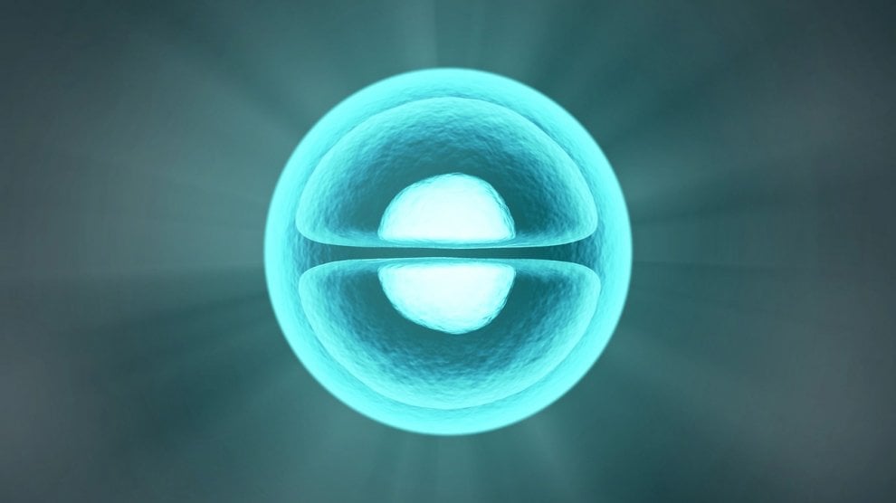 Embrioni in provetta, ecco i traguardi della scienza