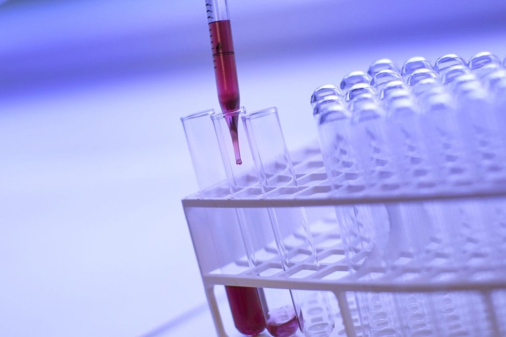 Embrioni in provetta, ecco i traguardi della scienza