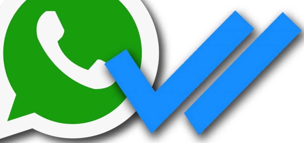WhatsApp, come gestire le notifiche