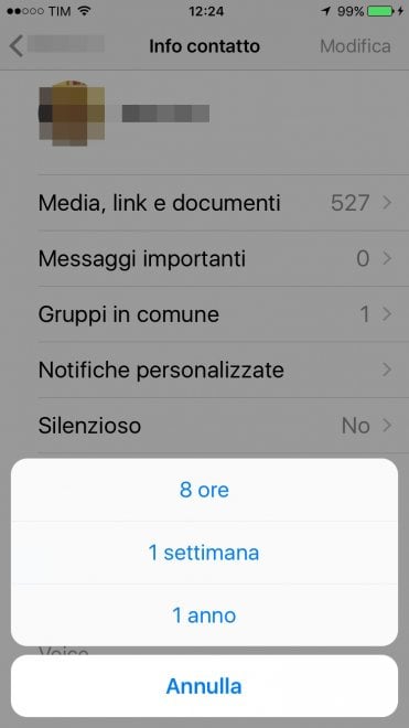 WhatsApp, come gestire le notifiche