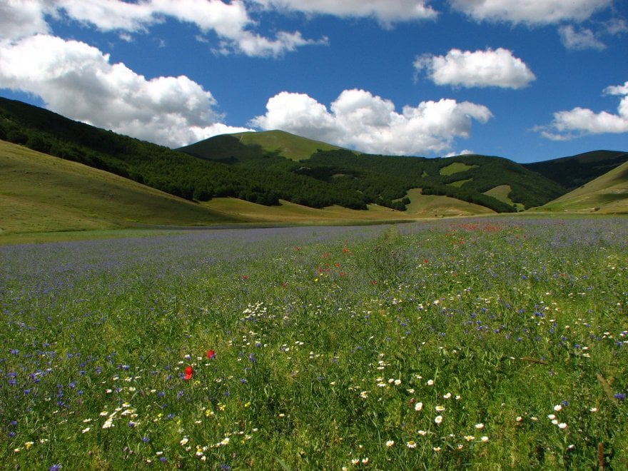 Obiettivo Terra, il concorso per la Giornata mondiale della Terra