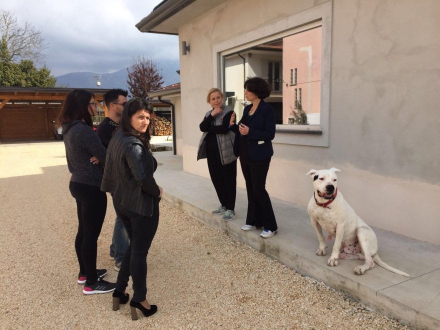 Sherman, il cane conteso tra Italia e Germania