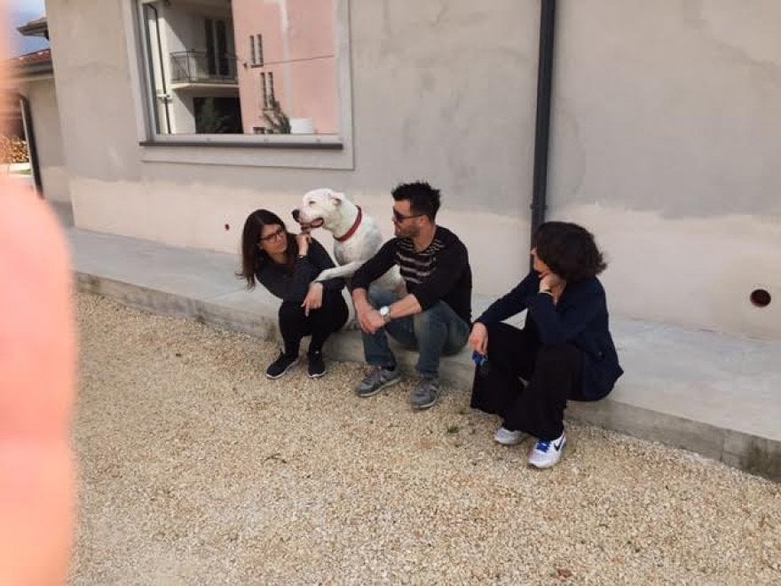 Sherman, il cane conteso tra Italia e Germania