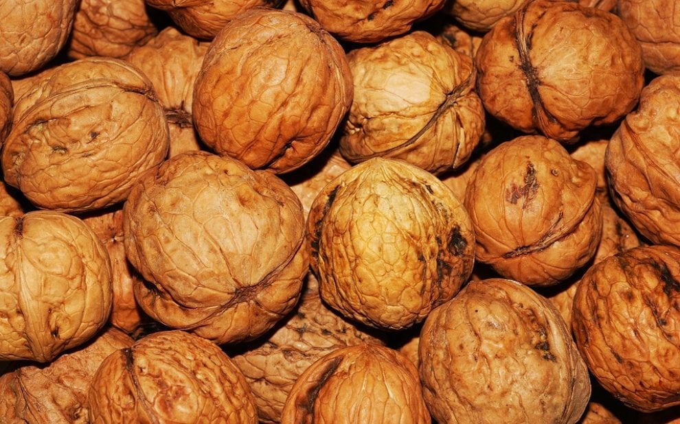 Sette cibi che aiutano il sistema nervoso