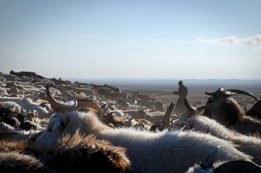 Cambiamento climatico e nomadi in Mongolia: "Insieme possiamo farcela"