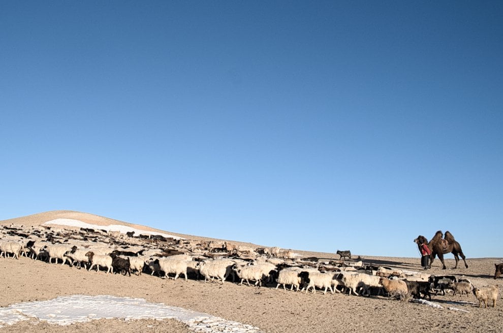 Cambiamento climatico e nomadi in Mongolia: "Insieme possiamo farcela"