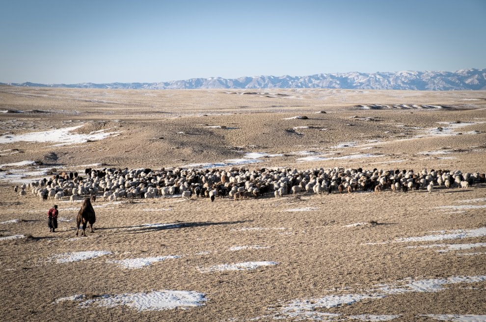 Cambiamento climatico e nomadi in Mongolia: "Insieme possiamo farcela"