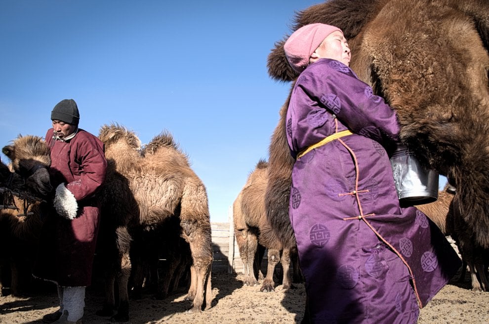 Cambiamento climatico e nomadi in Mongolia: "Insieme possiamo farcela"