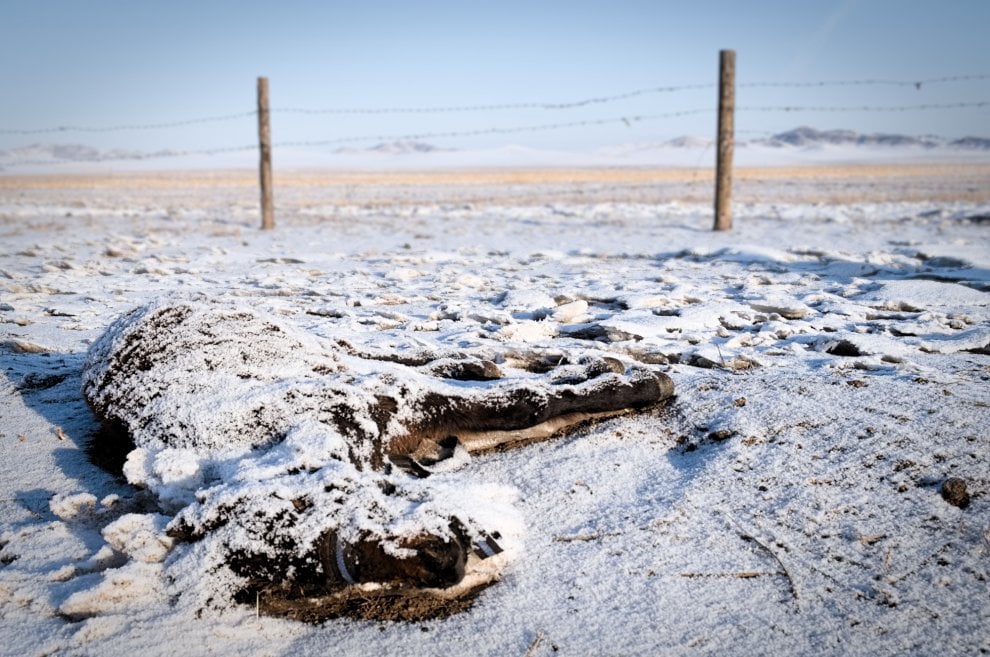 Cambiamento climatico e nomadi in Mongolia: "Insieme possiamo farcela"