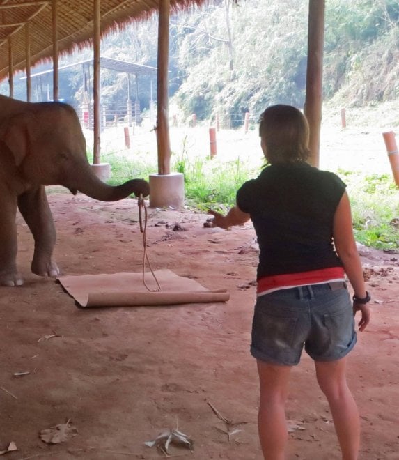 Un corpo da elefante: così il pachiderma mostra di rendersene conto