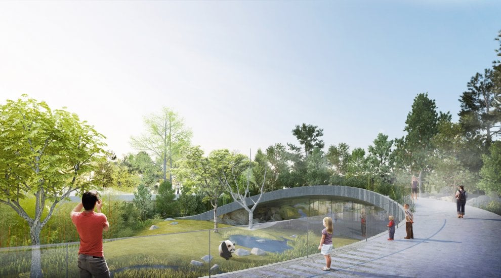La nuova casa dei panda di Copenhagen, tra architettura e natura