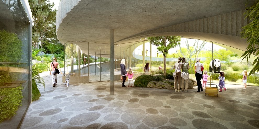 La nuova casa dei panda di Copenhagen, tra architettura e natura
