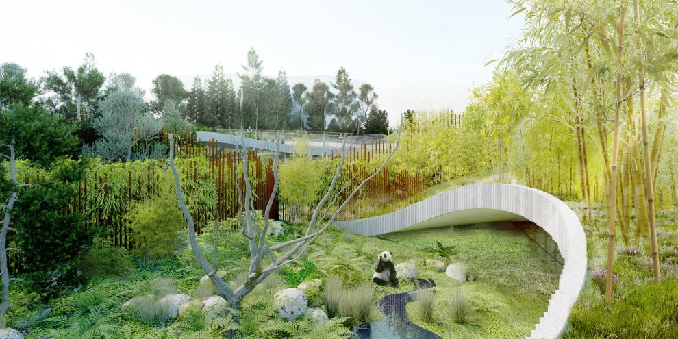 La nuova casa dei panda di Copenhagen, tra architettura e natura