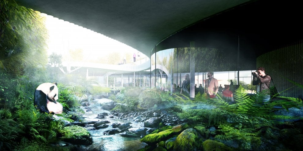 La nuova casa dei panda di Copenhagen, tra architettura e natura