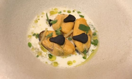 Stracciatella, cozze e aglio nero, piatto cult di Automata