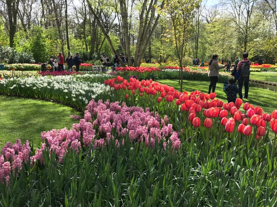 Keukenhof, il parco aperto solo due mesi 