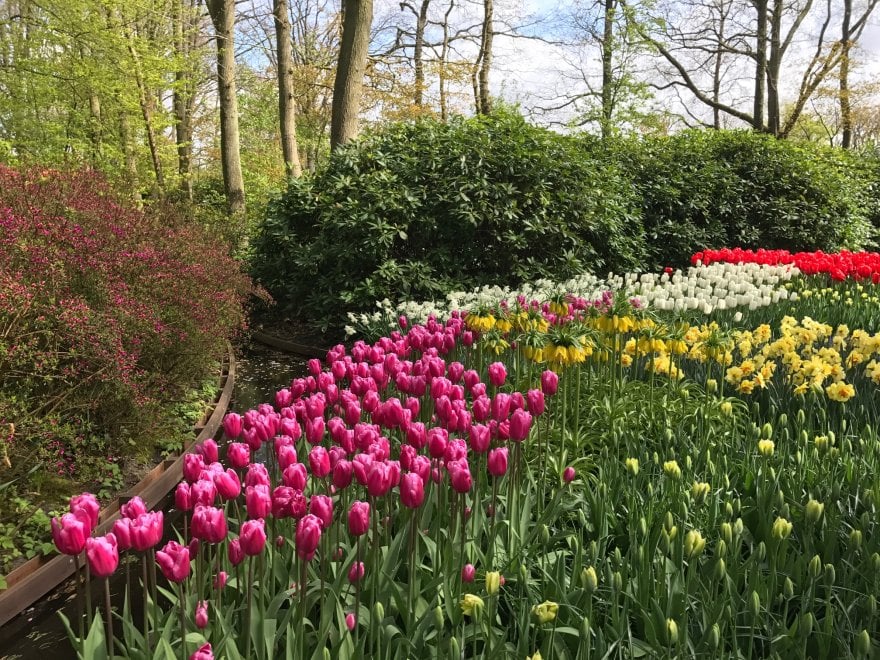 Keukenhof, il parco aperto solo due mesi 