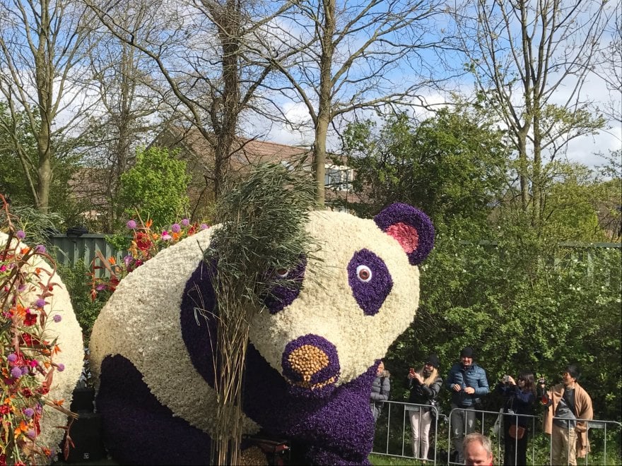 Keukenhof, il parco aperto solo due mesi 