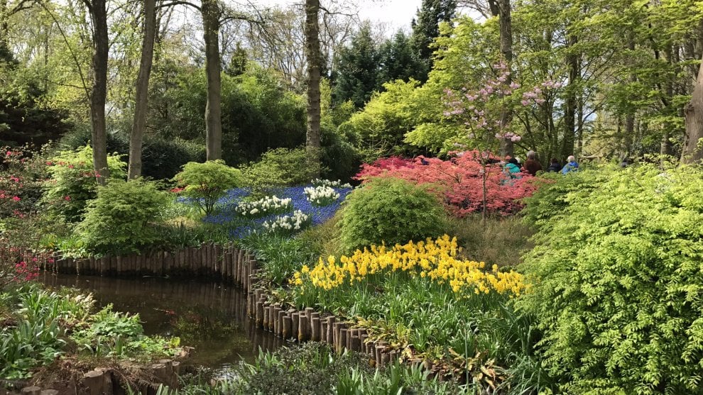 Keukenhof, il parco aperto solo due mesi 