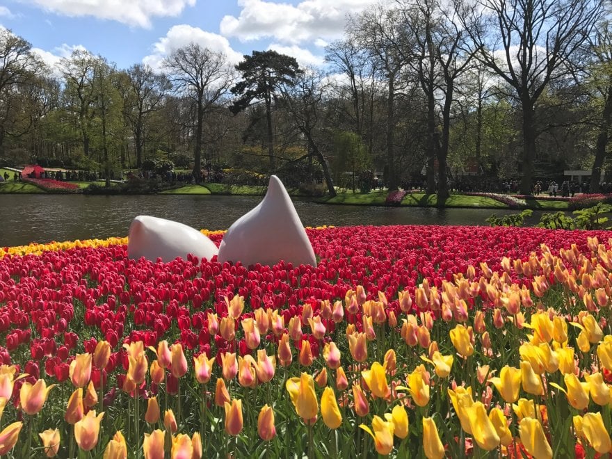 Keukenhof, il parco aperto solo due mesi 