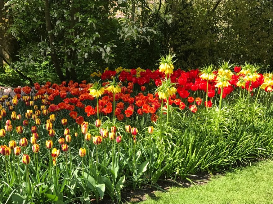 Keukenhof, il parco aperto solo due mesi 