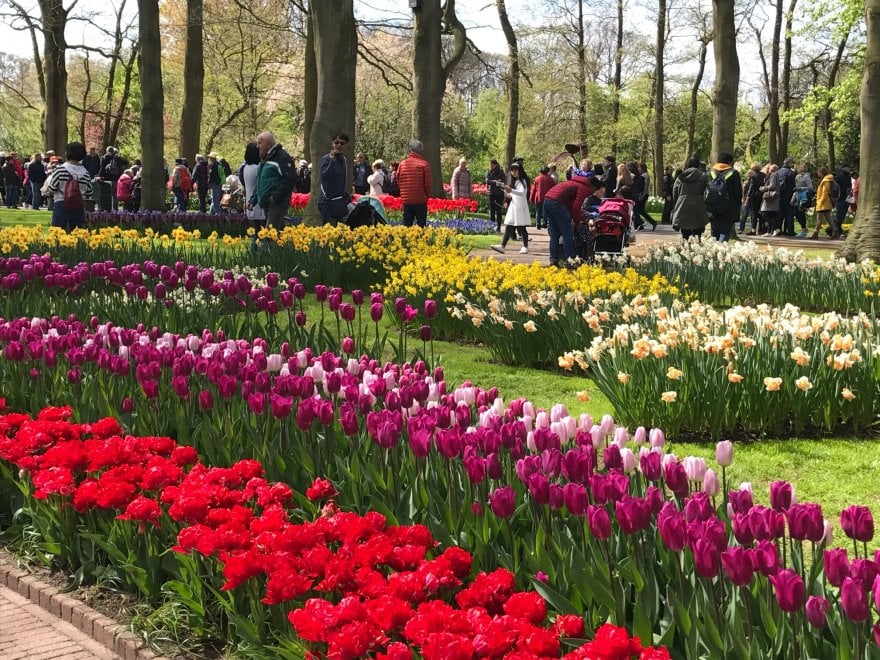 Keukenhof, il parco aperto solo due mesi 