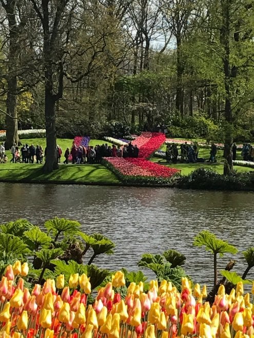 Keukenhof, il parco aperto solo due mesi 