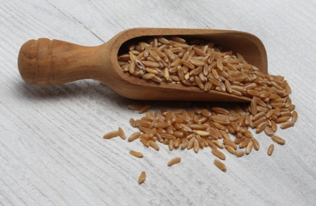 Dal latte al Kamut: la top ten delle fake news alimentari secondo Coldiretti