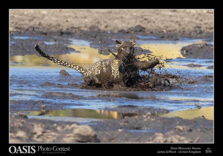 Oasis Photocontest, tutti i premiati della 13esima edizione