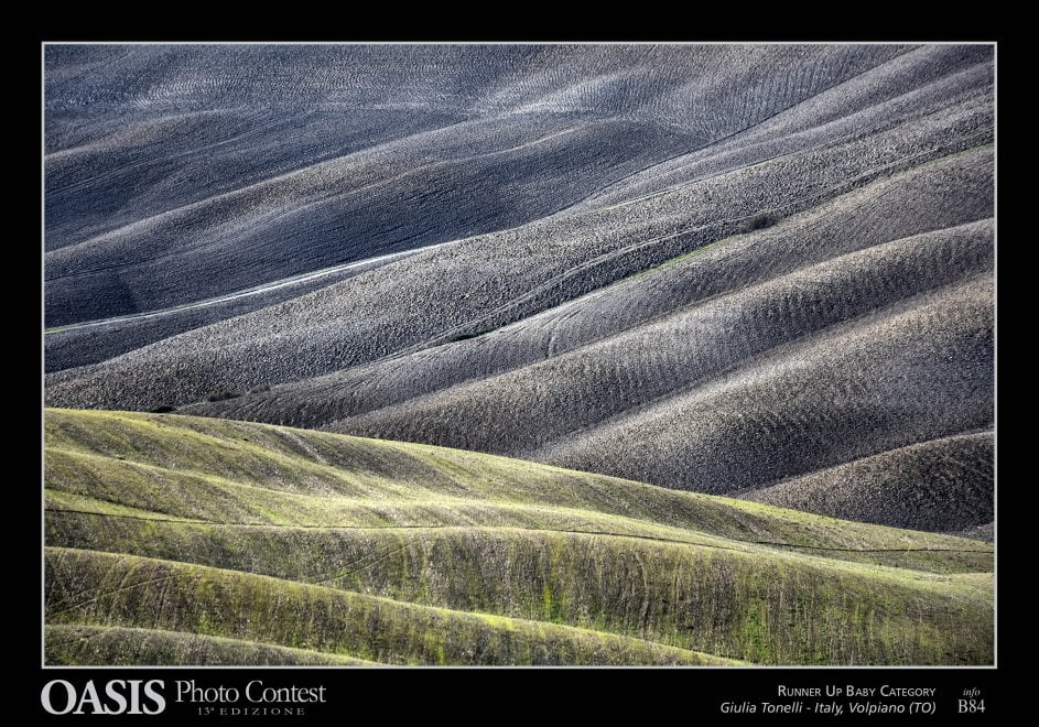 Oasis Photocontest, tutti i premiati della 13esima edizione