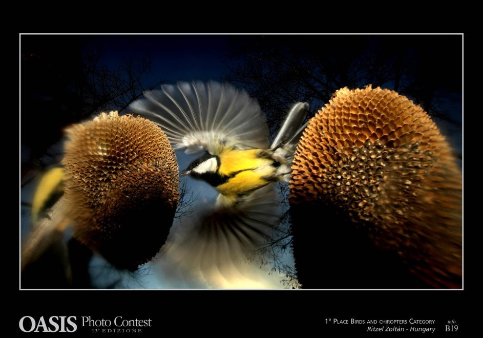 Oasis Photocontest, tutti i premiati della 13esima edizione