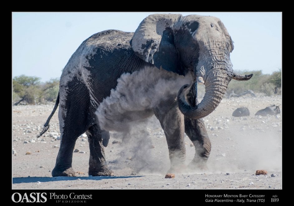 Oasis Photocontest, tutti i premiati della 13esima edizione
