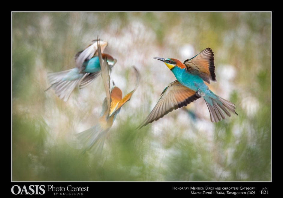 Oasis Photocontest, tutti i premiati della 13esima edizione