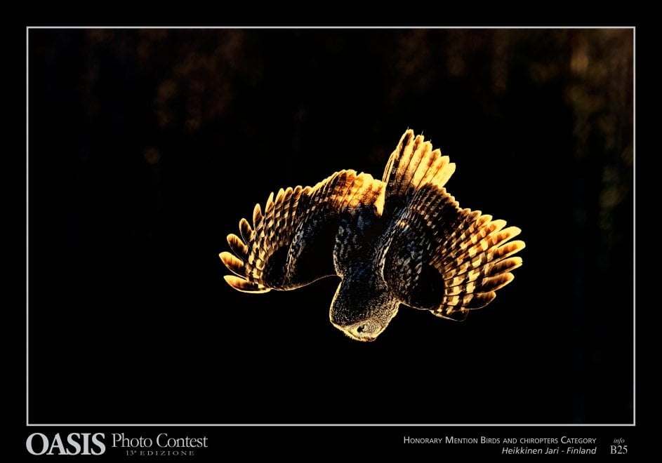 Oasis Photocontest, tutti i premiati della 13esima edizione